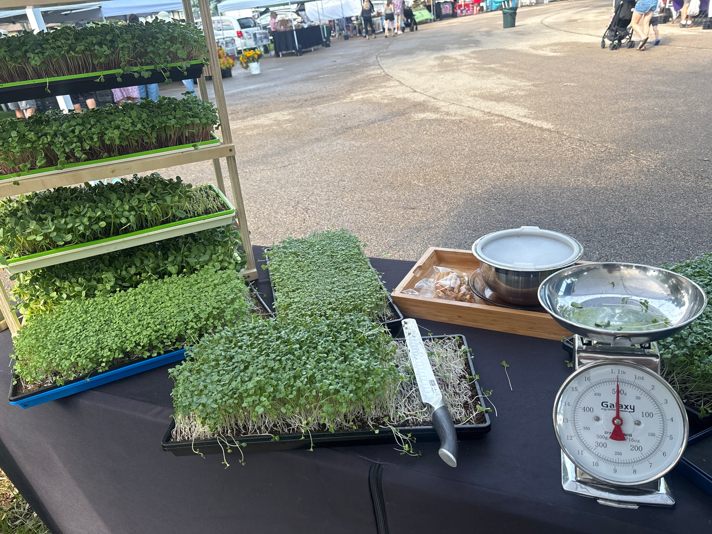 Microgreens-2 oz $5.00