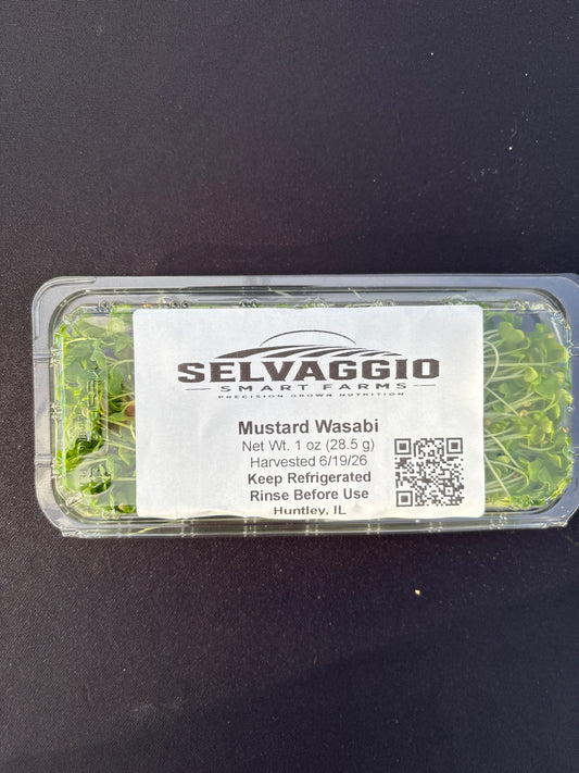 Mustard Wasabi