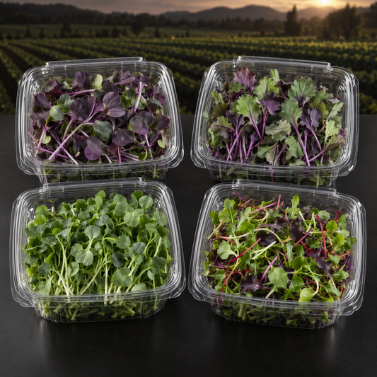 Color and Antioxidant subscription box with colorful microgreens