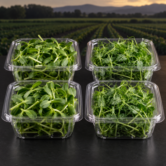 Protein Pack subscription box with sunflower and pea shoot microgreens